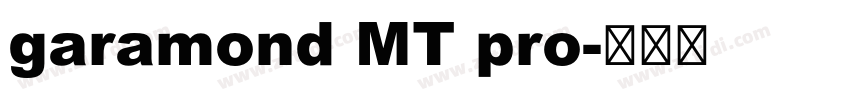 garamond MT pro字体转换
